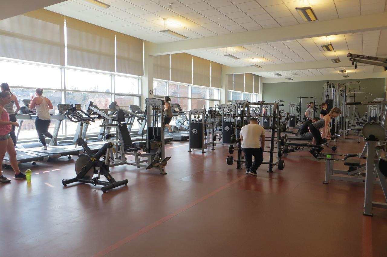 Mount Allison Summer Accommodationsサックビル エクステリア 写真